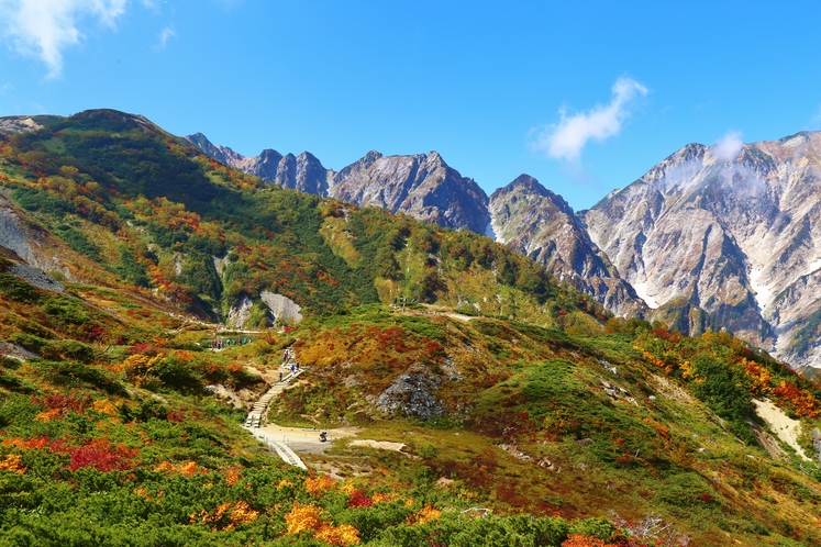 【9月】紅葉の八方池と唐松岳