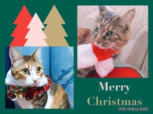 メリークリスマス