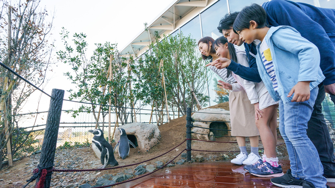 ＜上越市立水族博物館「うみがたり」チケット付プラン＞バイキング朝食無料！