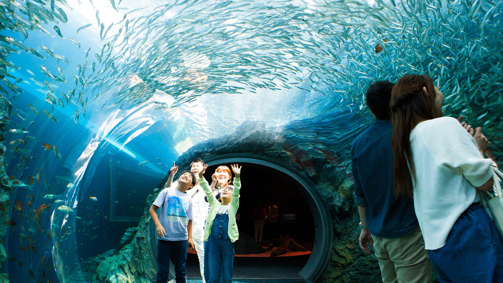 ＜上越市立水族博物館「うみがたり」チケット付プラン＞バイキング朝食無料！