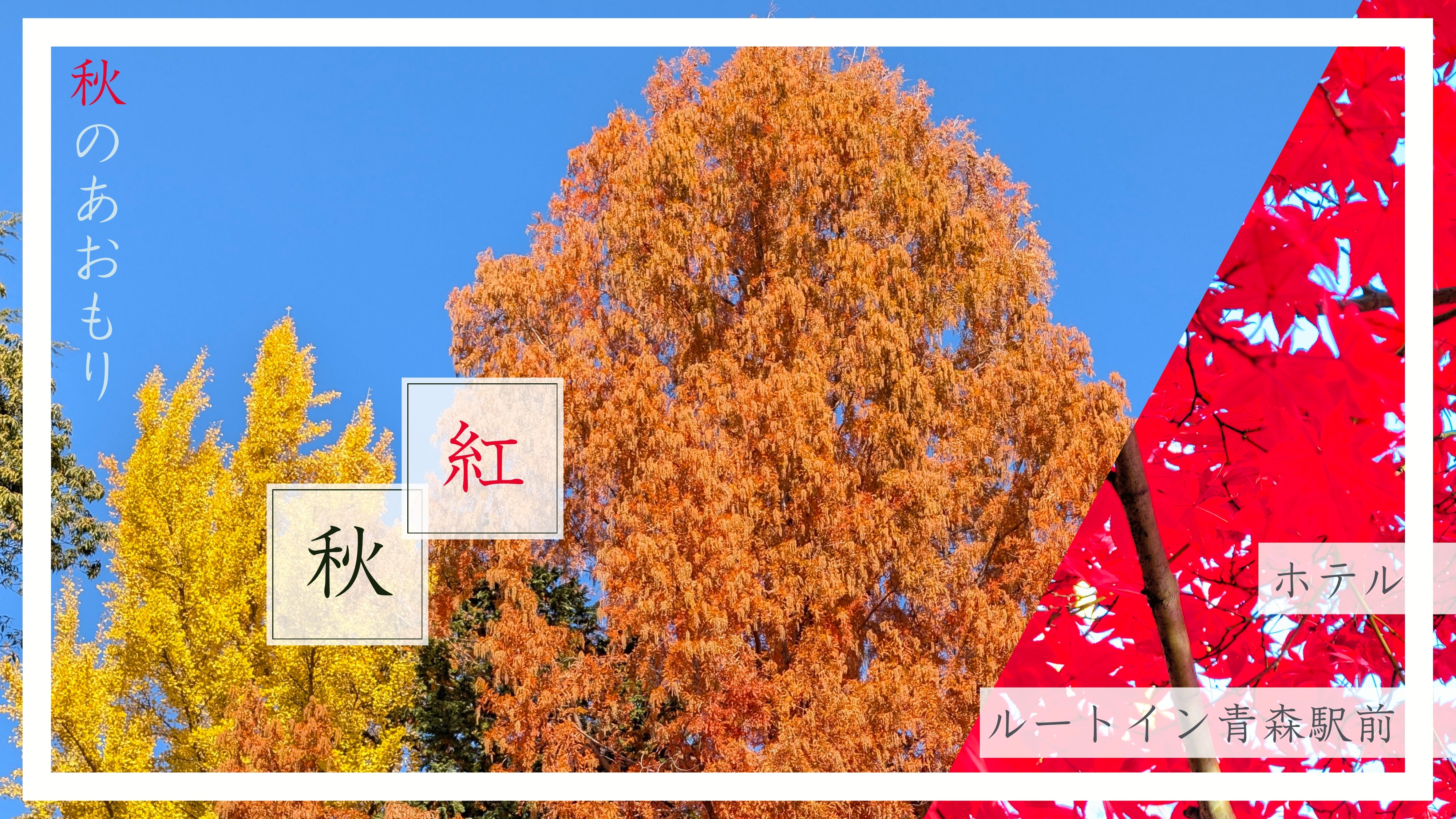 ～秋のあおもり～
