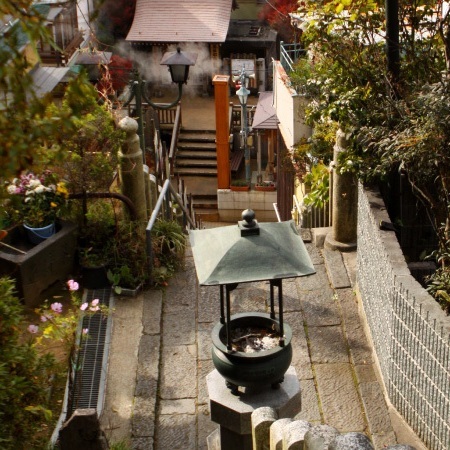 写真6