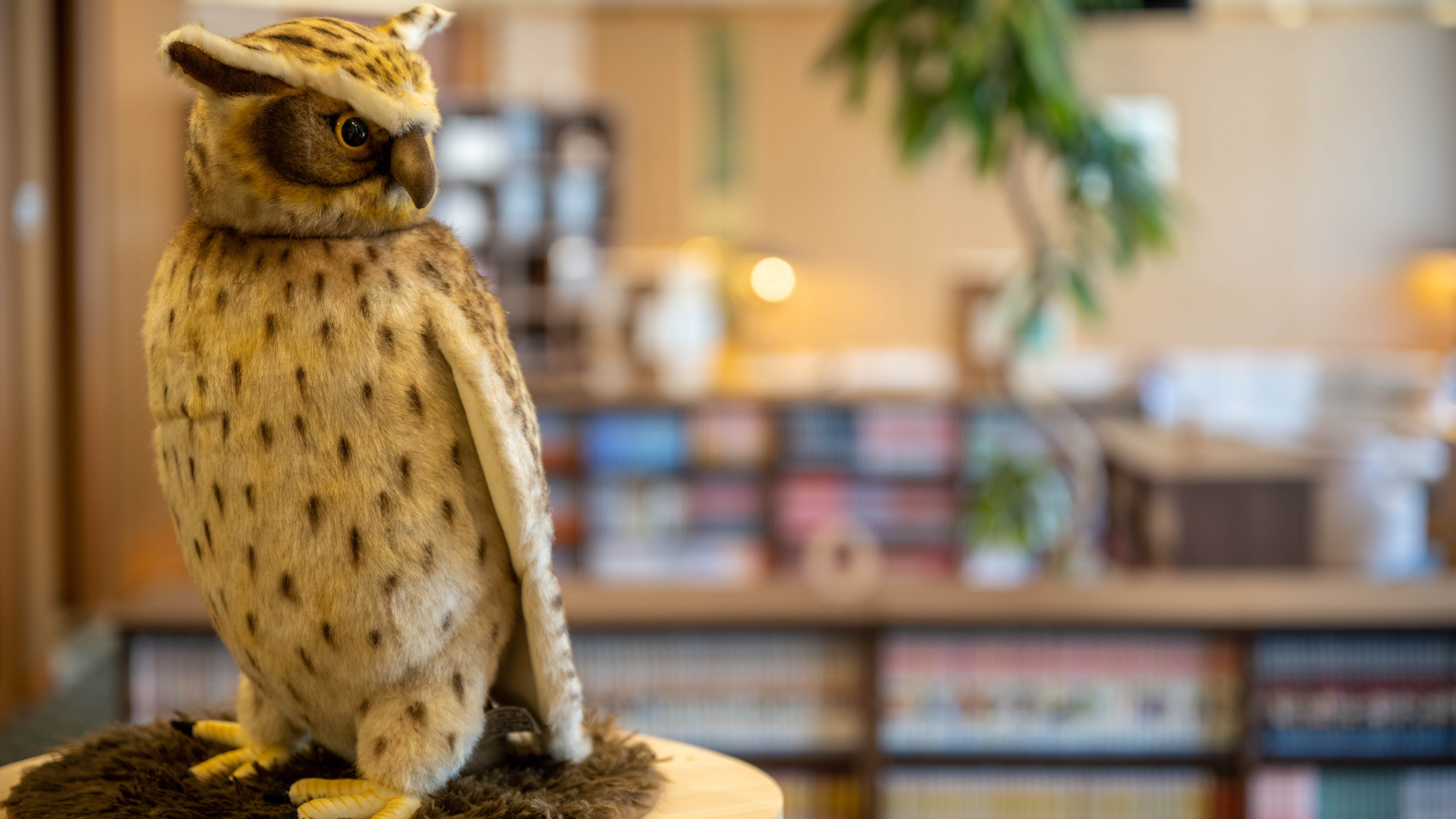 【ブックラウンジ「ふくろう」】4000冊の漫画が揃う！お気に入りの作品をごゆっくり♪