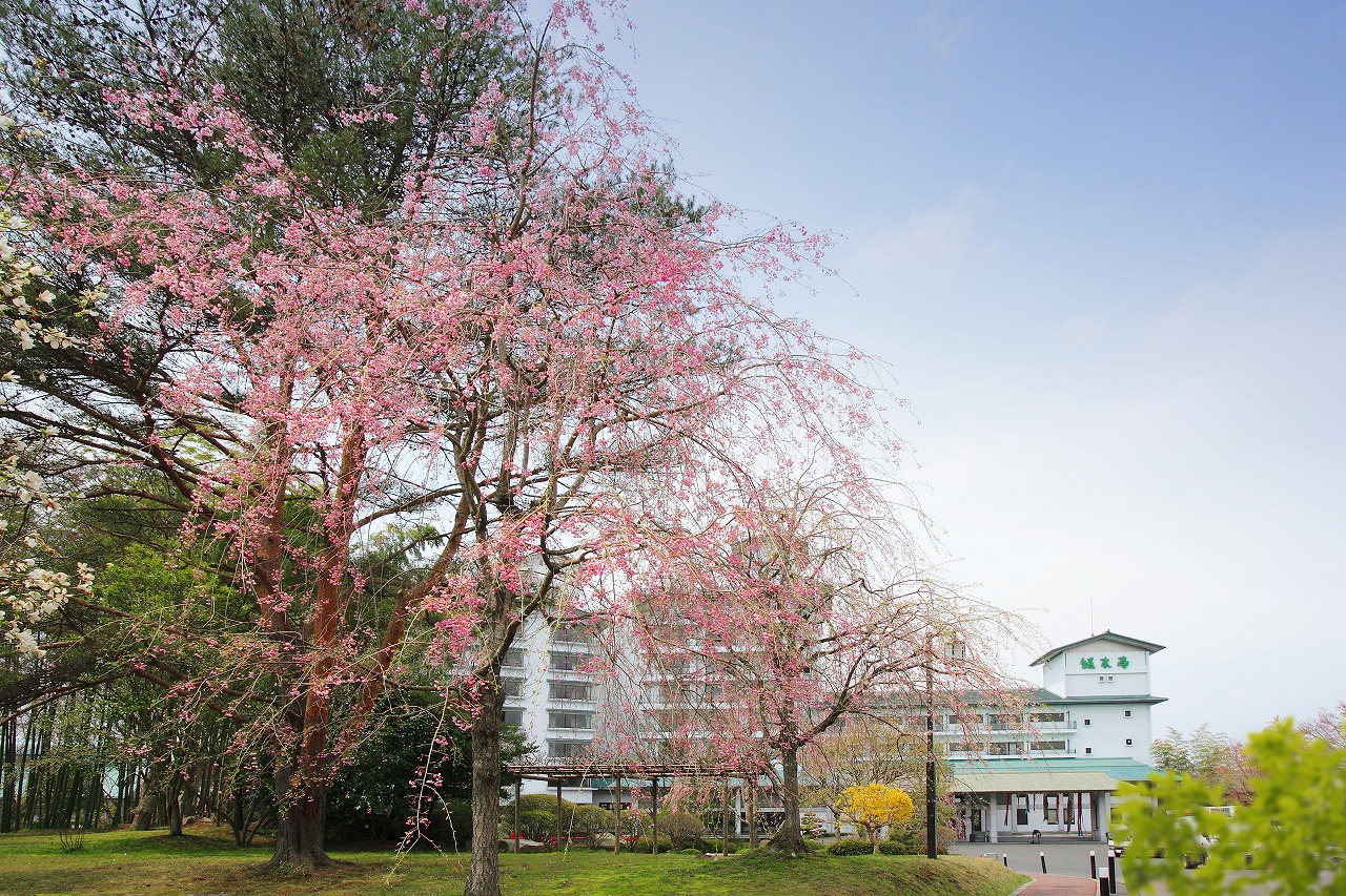 春の庭園　春の草花がお出迎えいたします