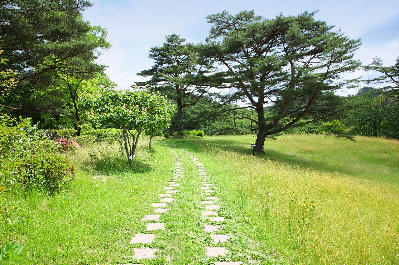 夏の庭園　広場で思いっきり遊ぼう