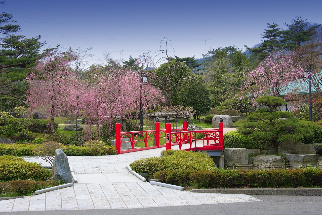 春の庭園　記念写真はこちらでどうぞ