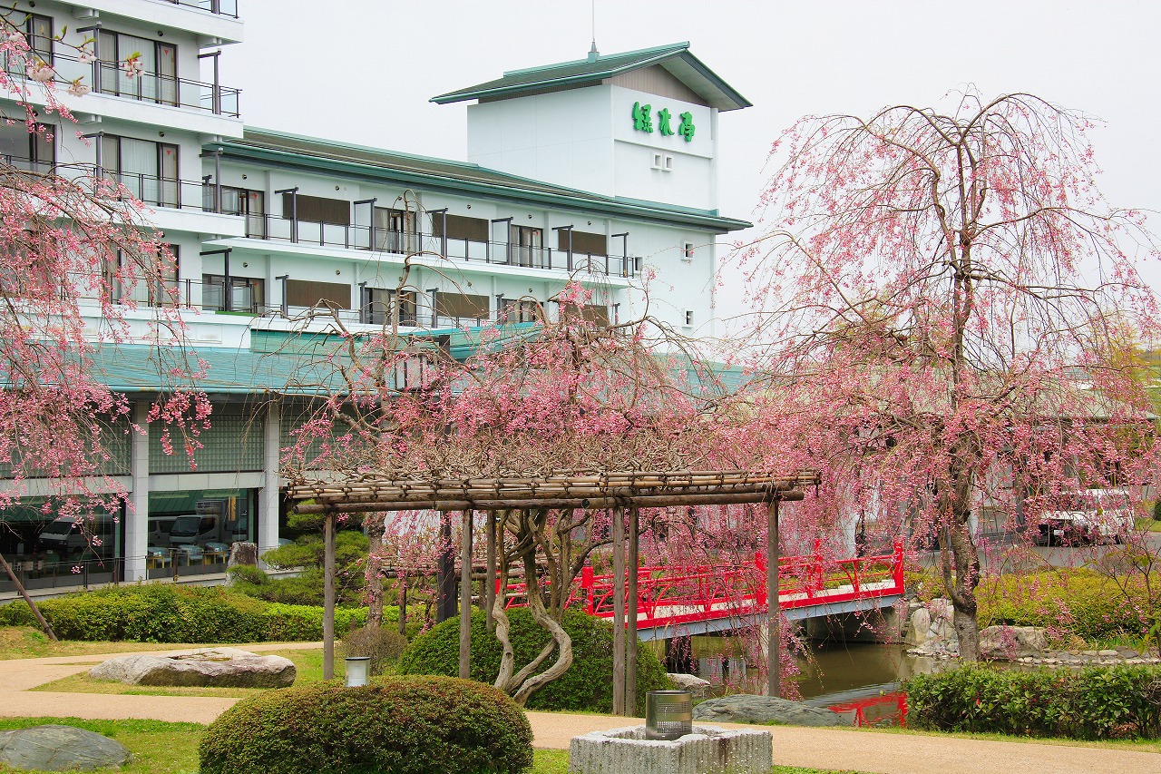 春の庭園　しだれ桜がきれいです