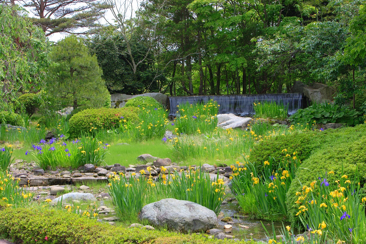 夏の庭園　緑いっぱい！思い出いっぱい！