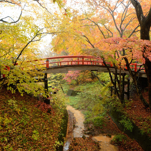 【河鹿橋】当館より徒歩20分。毎年秋になるとライトアップされた紅葉を楽しめる名所です。