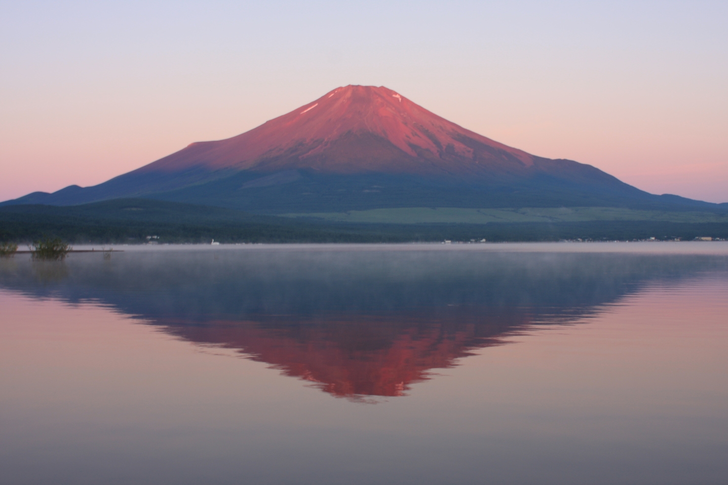 〜春の山中湖〜　紅富士とお花見を富士五湖で