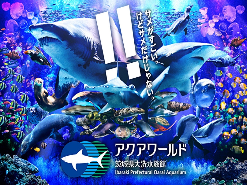 【涼感サマートリップ】猛暑を避けて涼しい海の世界へ！アクアワールド大洗水族館「入場券」付きステイ