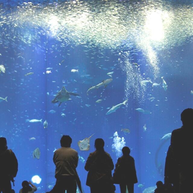 アクアワールド 茨城県大洗水族館入場券付プラン《無料朝食バイキング》☆大浴場＆駐車場無料☆