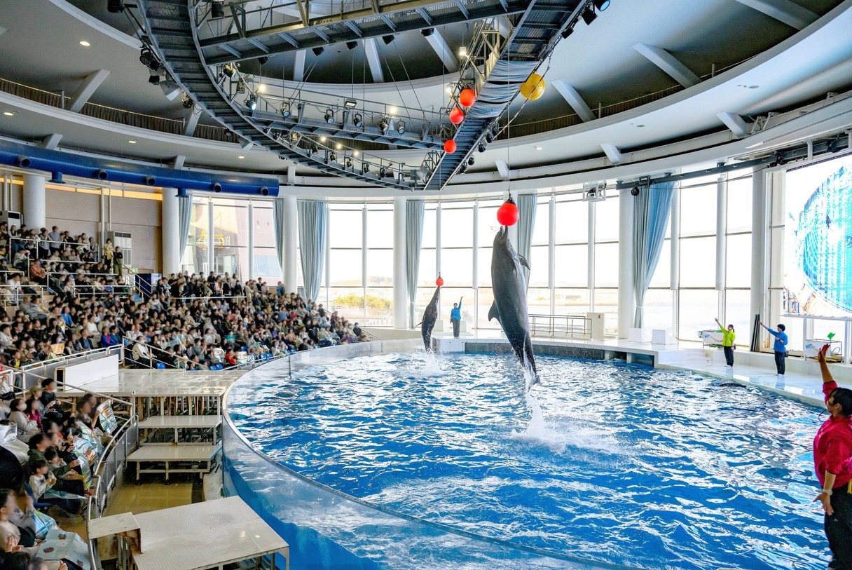 【涼感サマートリップ】猛暑を避けて涼しい海の世界へ！アクアワールド大洗水族館「入場券」付きステイ