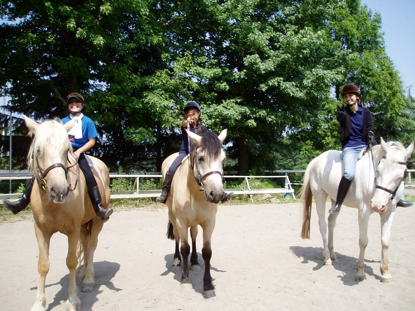 初心者の方も楽しめる乗馬＆蹄鉄クラフトの体験付き宿泊プラン《無料朝食バイキング》大浴場＆駐車場無料