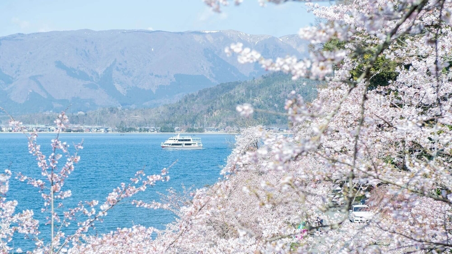 お花見クルーズ