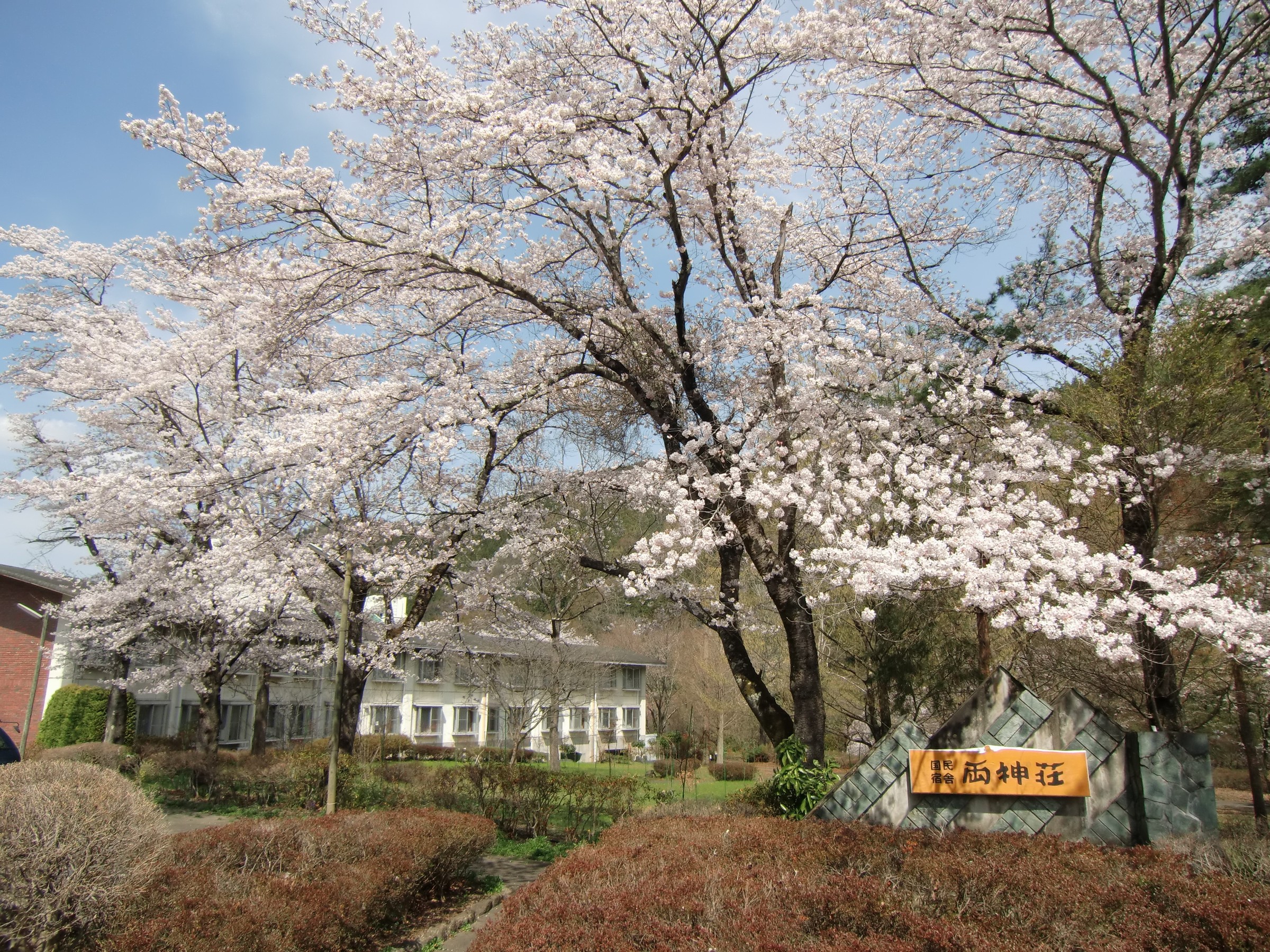 無料駐車場入り口