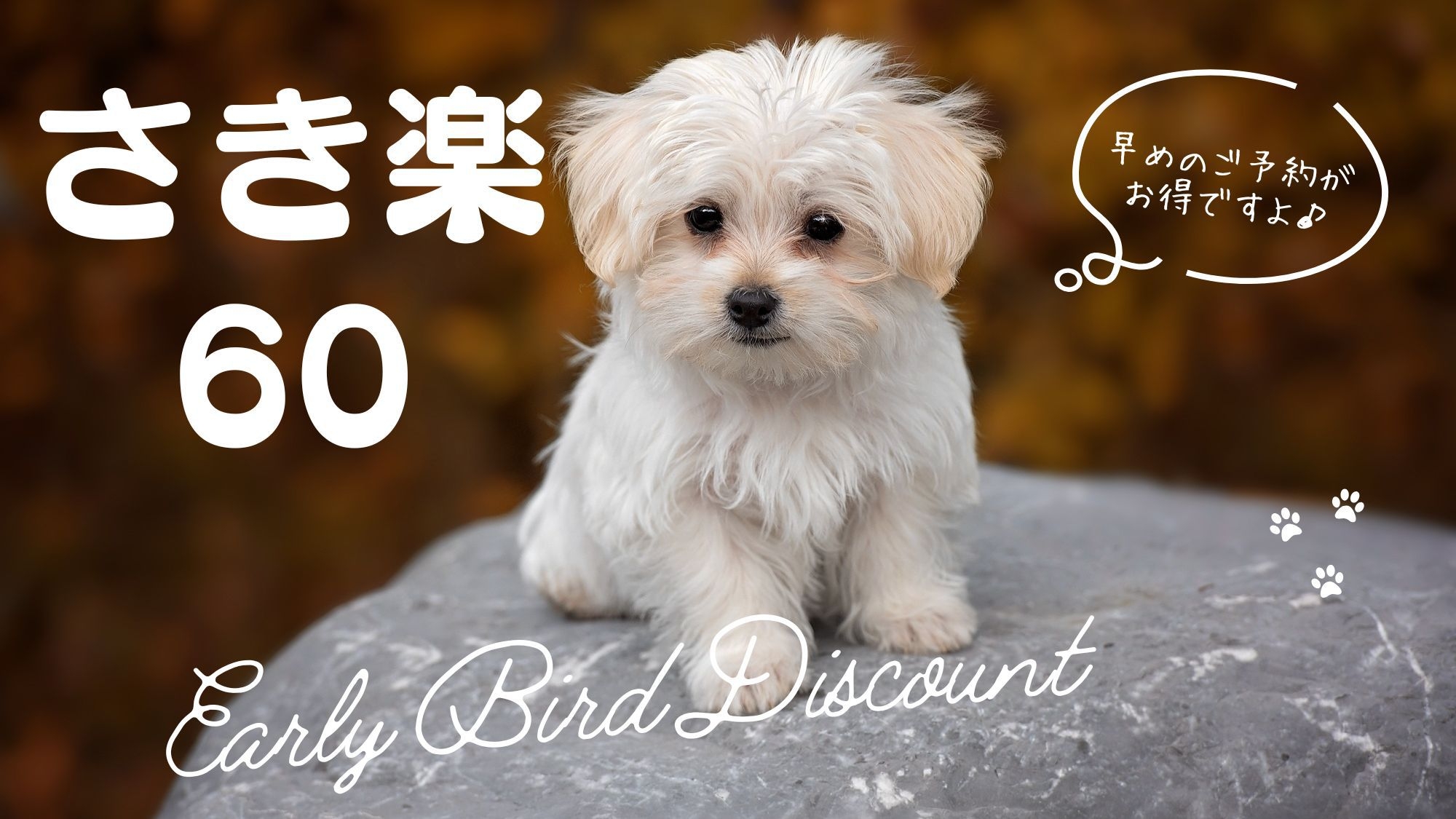 【さき楽60】60日前のご予約で＠2200円OFF！お得な「ワンちゃん旅」なら「早期割」♪夕朝食付