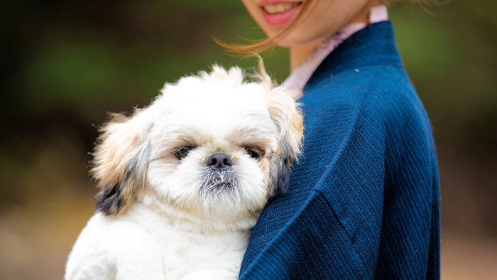 【さき楽60】60日前のご予約で＠2200円OFF！お得な「ワンちゃん旅」なら「早期割」♪夕朝食付