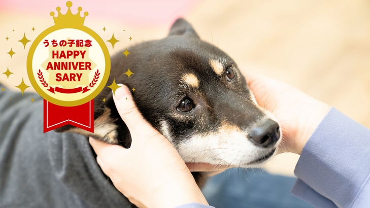 ワンちゃんとの絆がぐっと深まる！家族になった日を祝おう♪＜うちの子記念日プラン＞お祝い特典付き