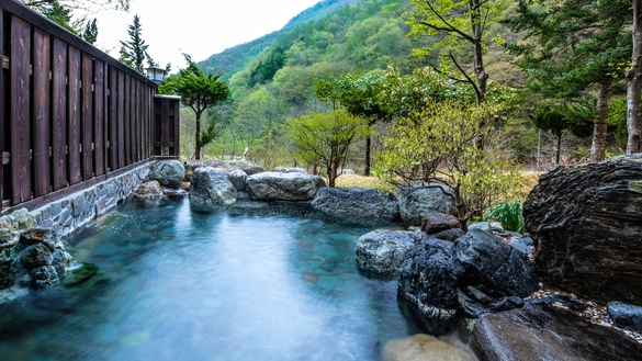 ＜基本プラン＞お部屋での滞在もお食事も、お休みの時間もワンちゃんとずっと一緒♪／定番！夕朝食付き