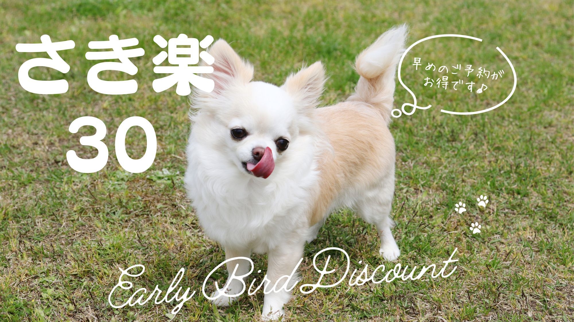 【さき楽30】30日前のご予約で＠1100円OFF！お得な「ワンちゃん旅」なら「早期割」♪夕朝食付き