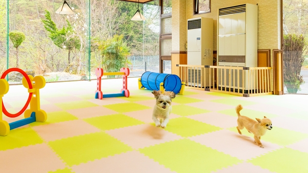 ＜冬のワン旅＞“One＋ワン”の一人旅☆一人旅大歓迎♪ワンちゃんとゆっくり向き合う時間は宝物／2食付