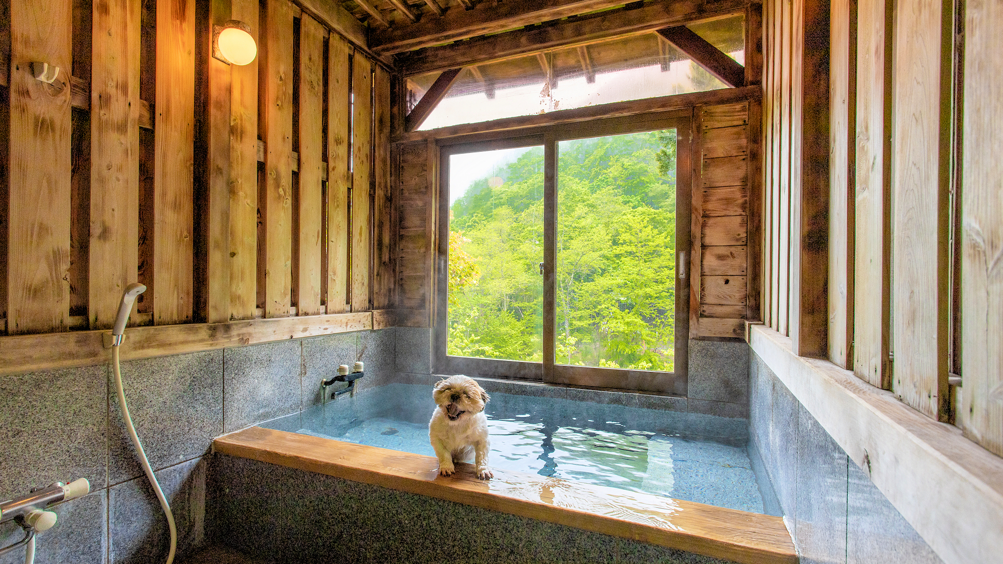 ■部屋■特別室/10畳和室＋ベッド/源泉掛流し風呂/屋外ドッグラン/禁煙