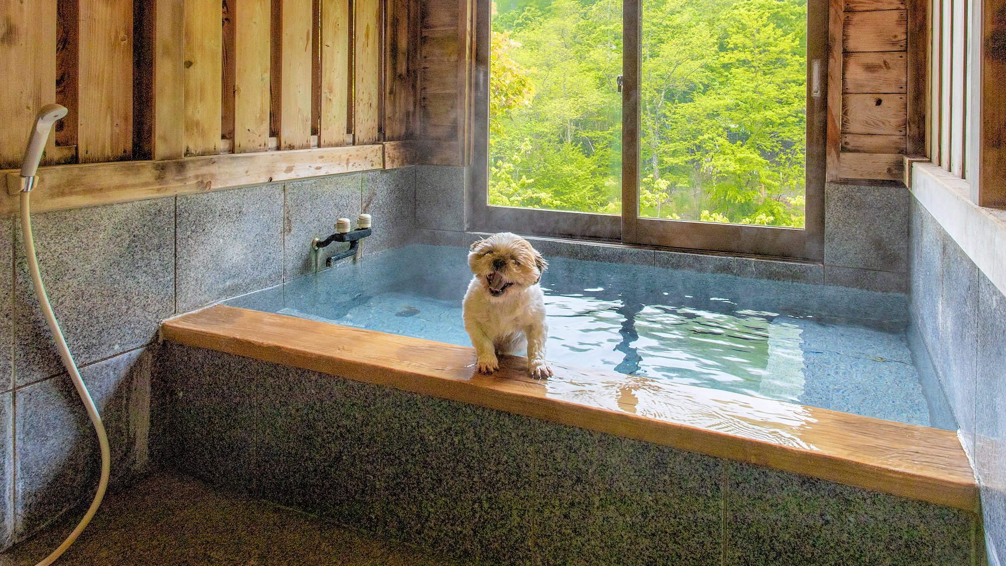 ■部屋■＜ワンちゃんと一緒に温泉でリラックス＞特別室／10畳和室＋ベッドルーム／源泉かけ流し風呂あり