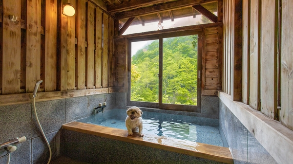 こころ和む愛犬との湯宿 桃の木温泉 さんわそう 写真 動画 楽天トラベル こころ和む愛犬との湯宿 桃の木温泉 さんわそう 写真 動画 楽天トラベル