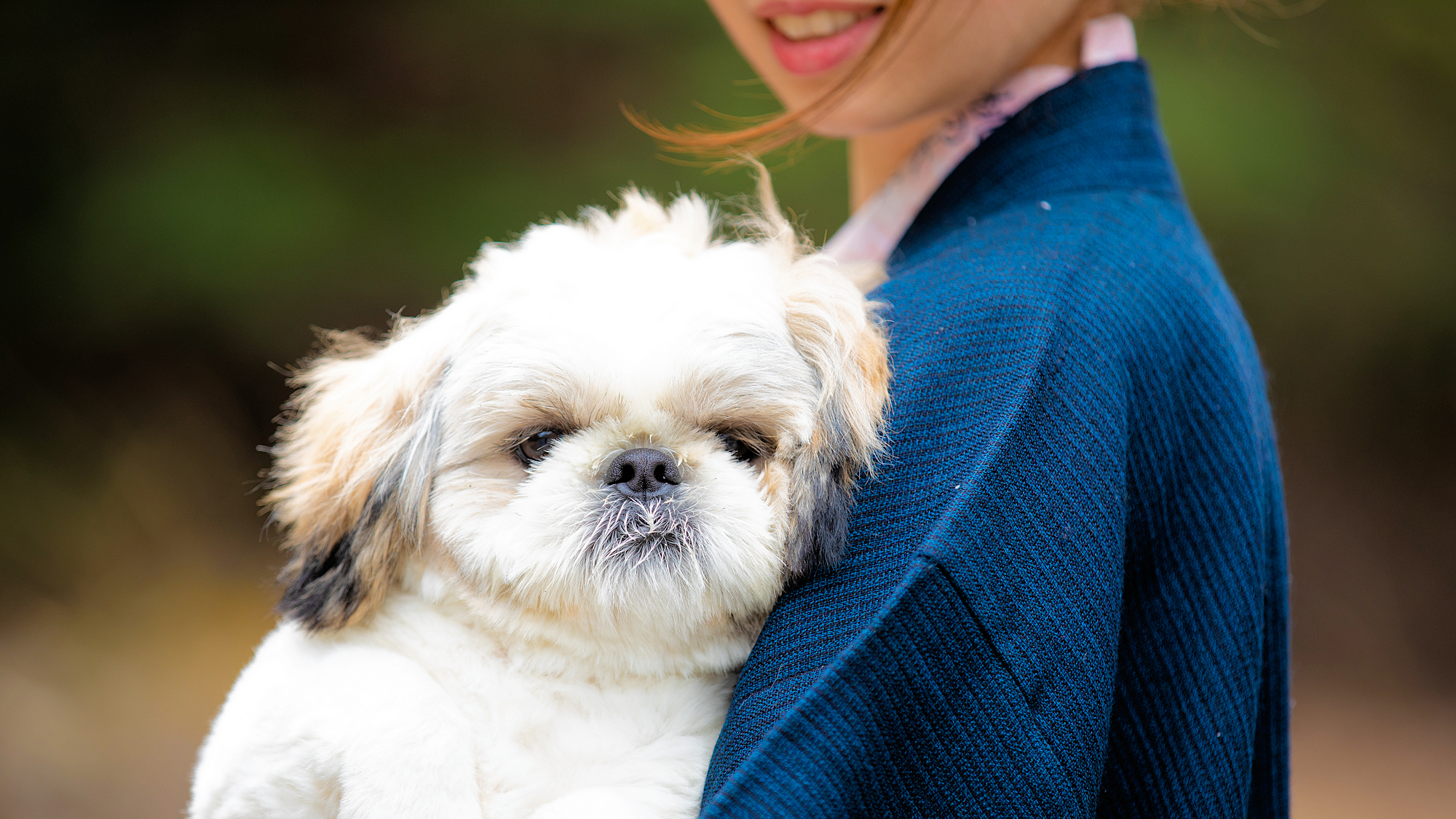 ■その他■当館では、お部屋での滞在もお食事も、お休みの時間もワンちゃんとずっと一緒