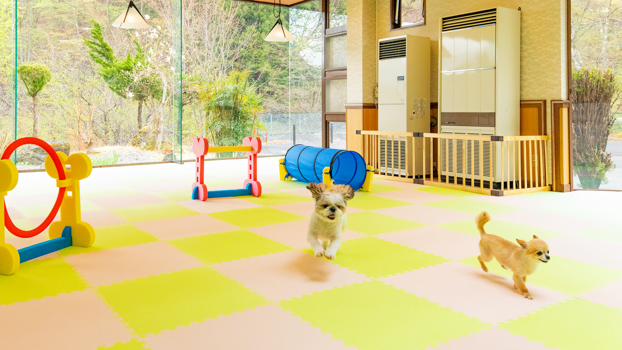 ■その他■室内ドッグラン／天候に左右されず、広々スペースで安心してワンちゃんを遊ばせることができます