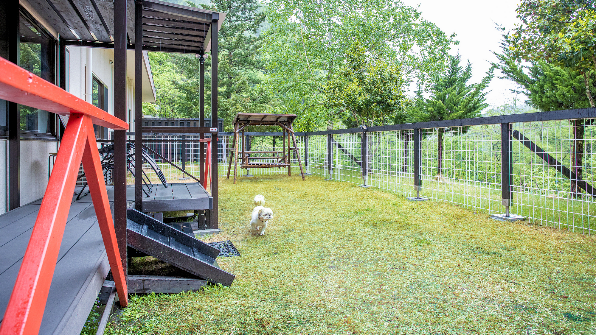 ■部屋■特別室/10畳和室＋ベッド/源泉掛流し風呂/屋外ドッグラン/禁煙