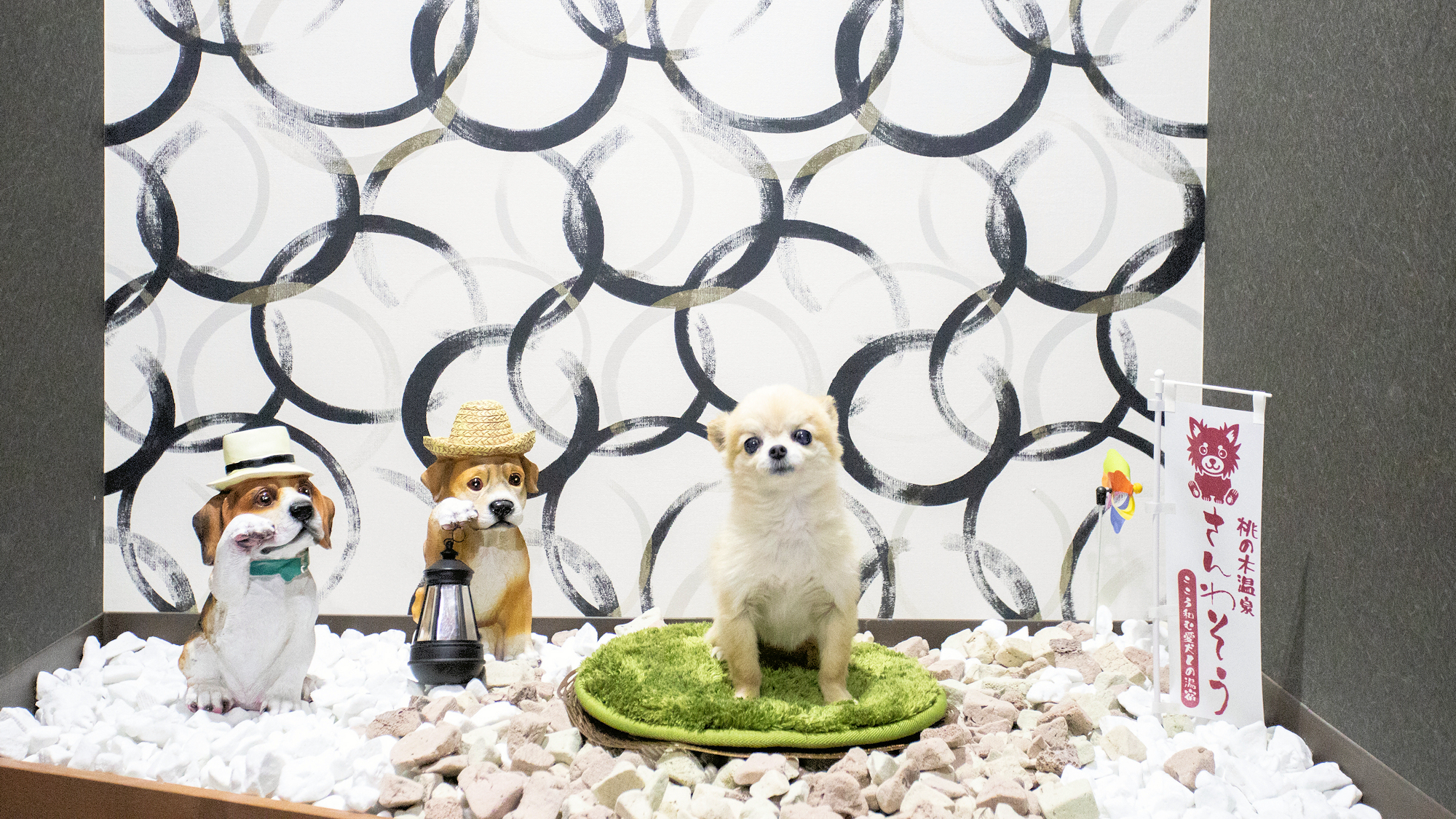 ■部屋■特別室/10畳和室＋ベッド/源泉掛流し風呂/屋外ドッグラン/禁煙