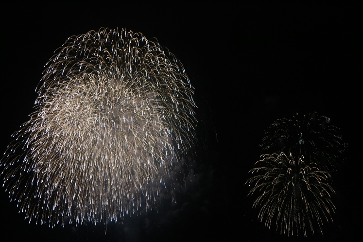 2017年7月30日白浜花火大会