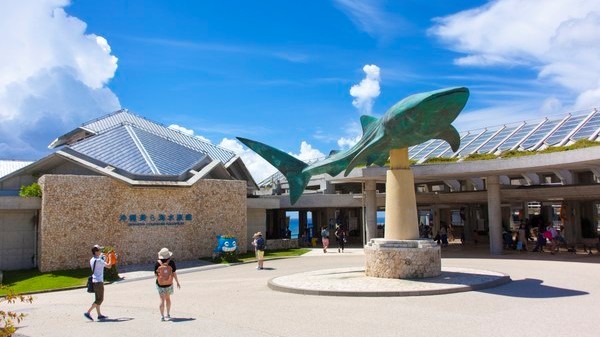 美ら海水族館