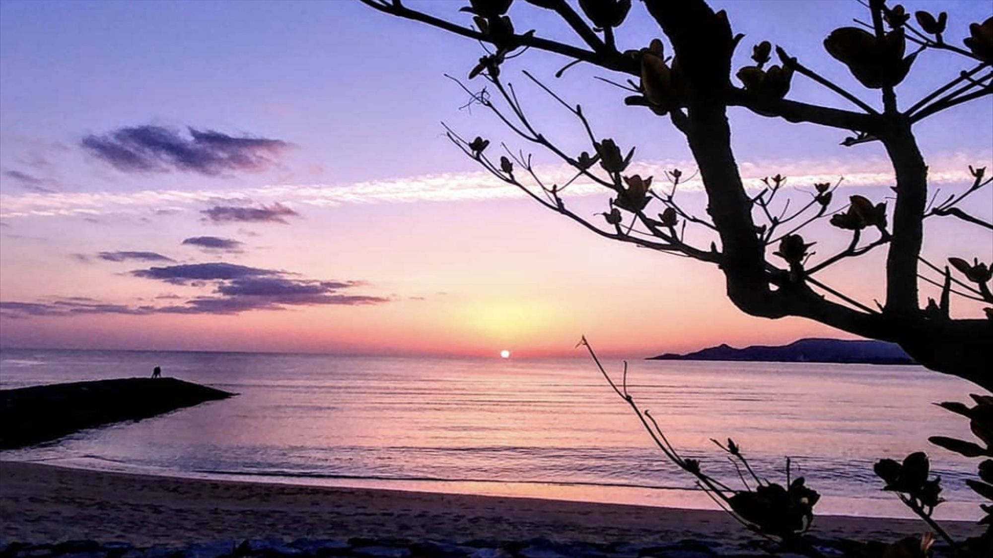 東江海岸（夕景）：当館より徒歩30秒