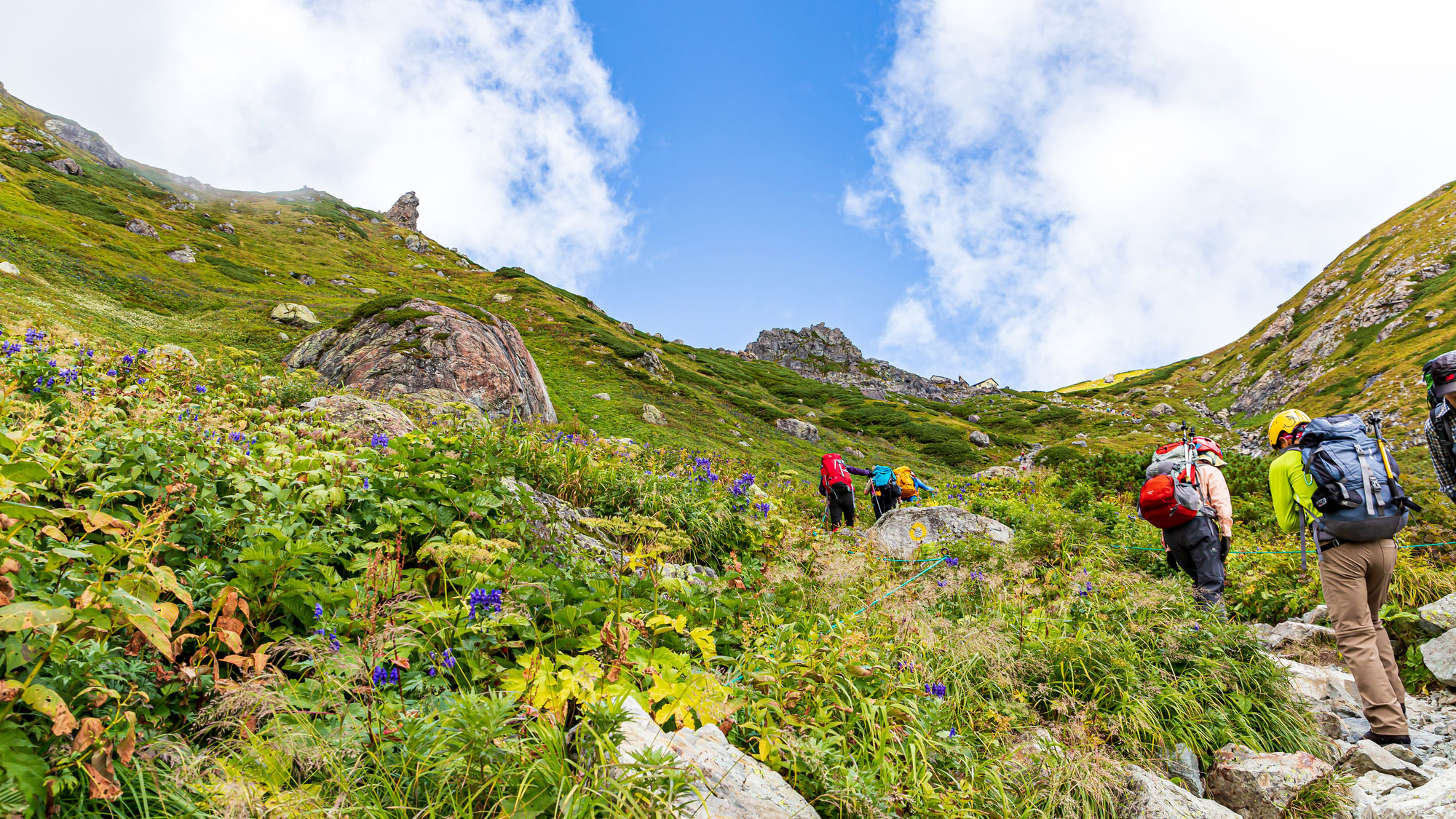 白馬岳（当館から登山口まで車で25分）