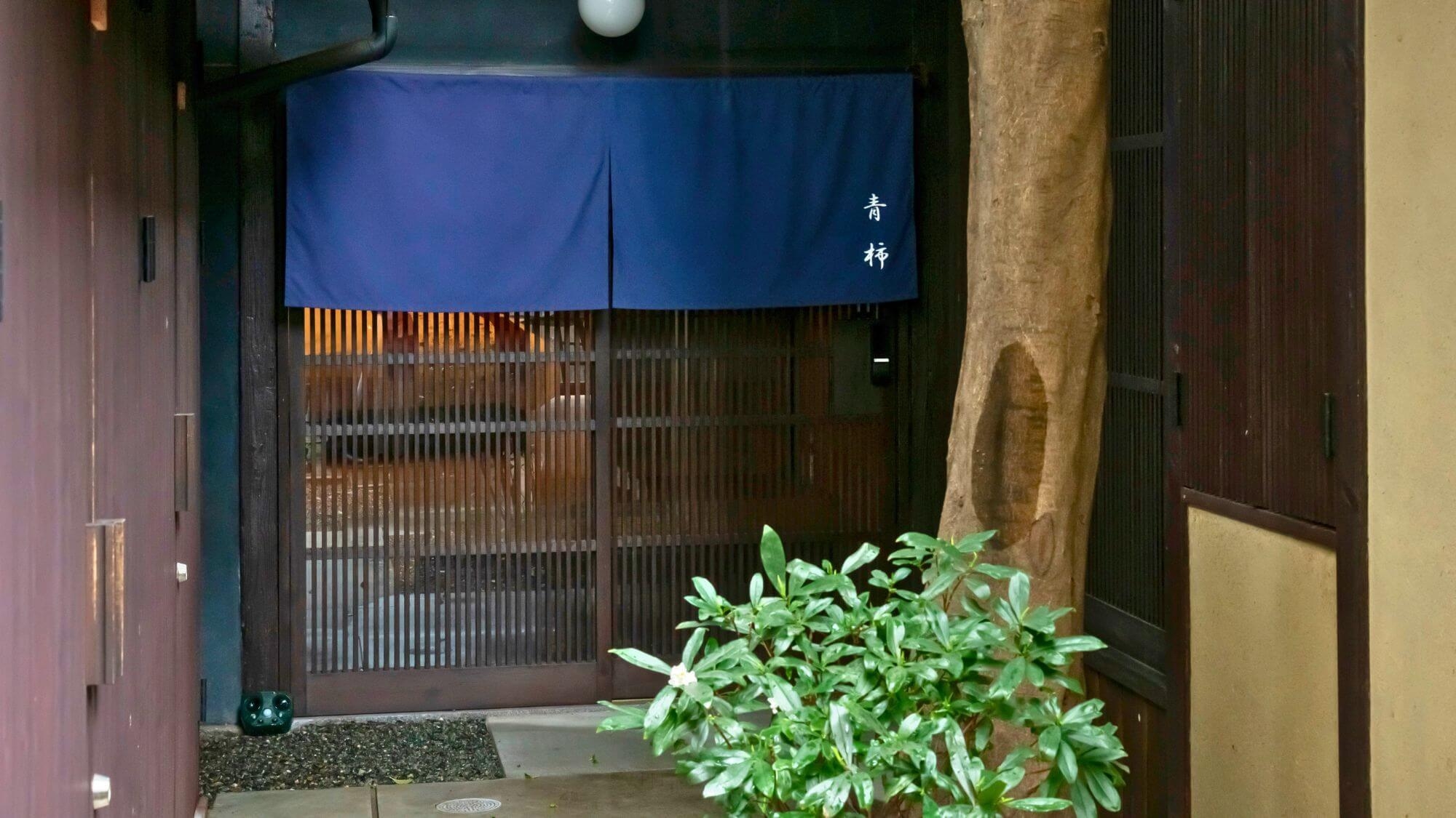 【当日限定】売り切りプラン　※素泊限定・チェックインは18時以降20時まで