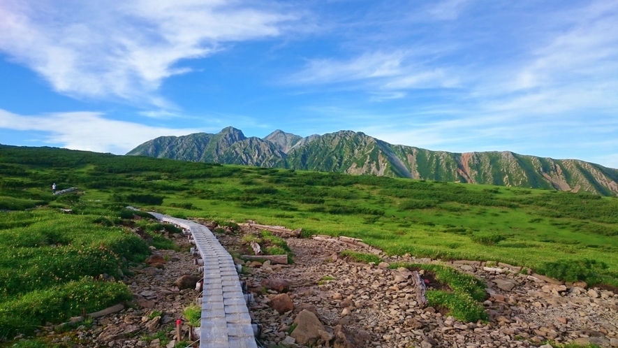 中部山岳国立公園内にある五色ヶ原は高山植物と池塘に彩られた雲上の楽園。