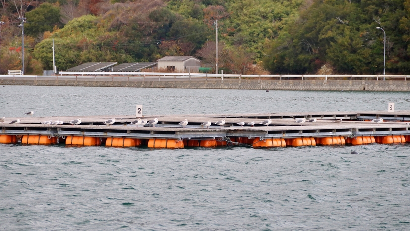 【素泊まり】瀬戸内の潮風を感じる自由旅シンプルステイ