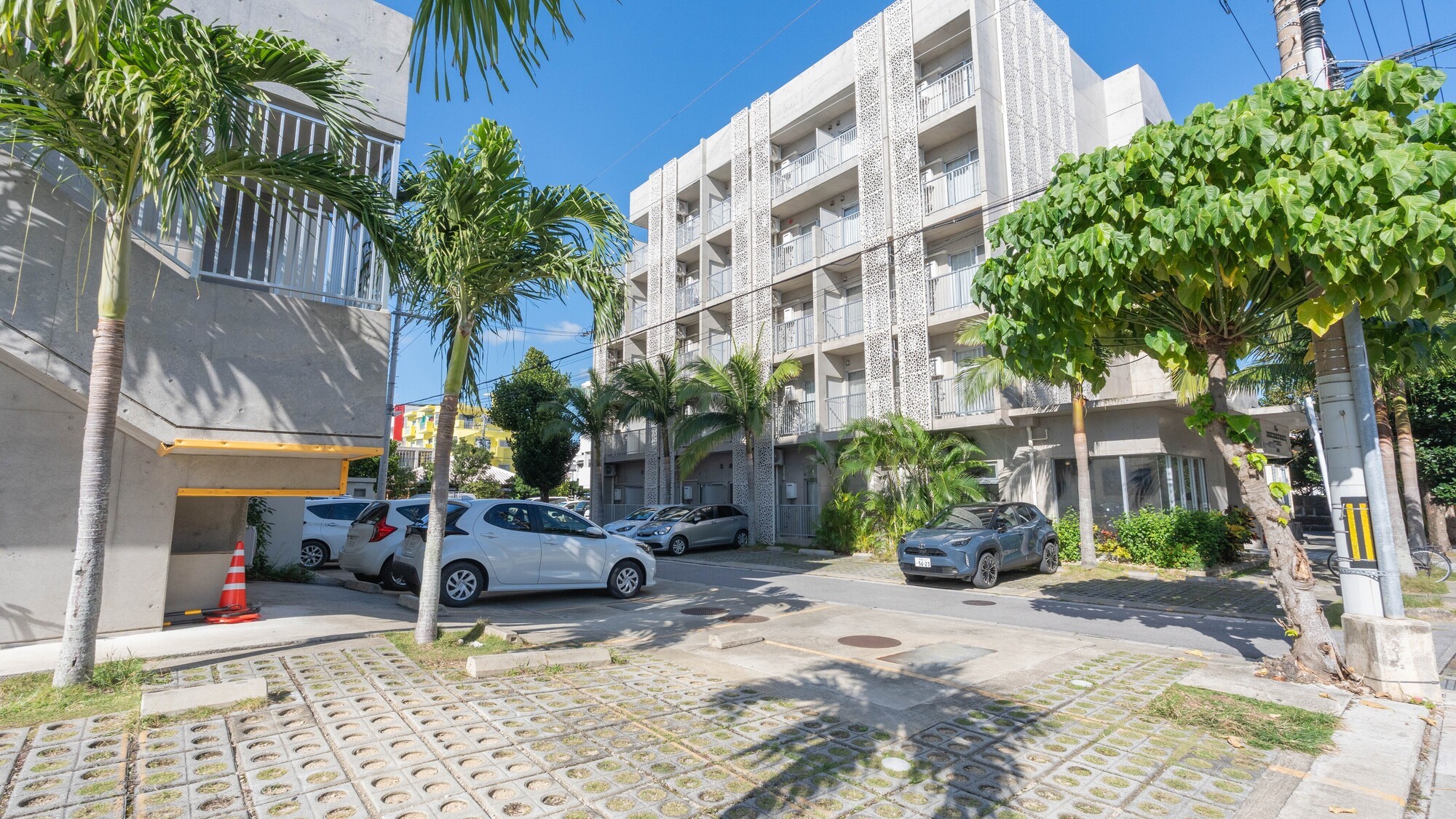 エントランス横には南国らしいヤシの木