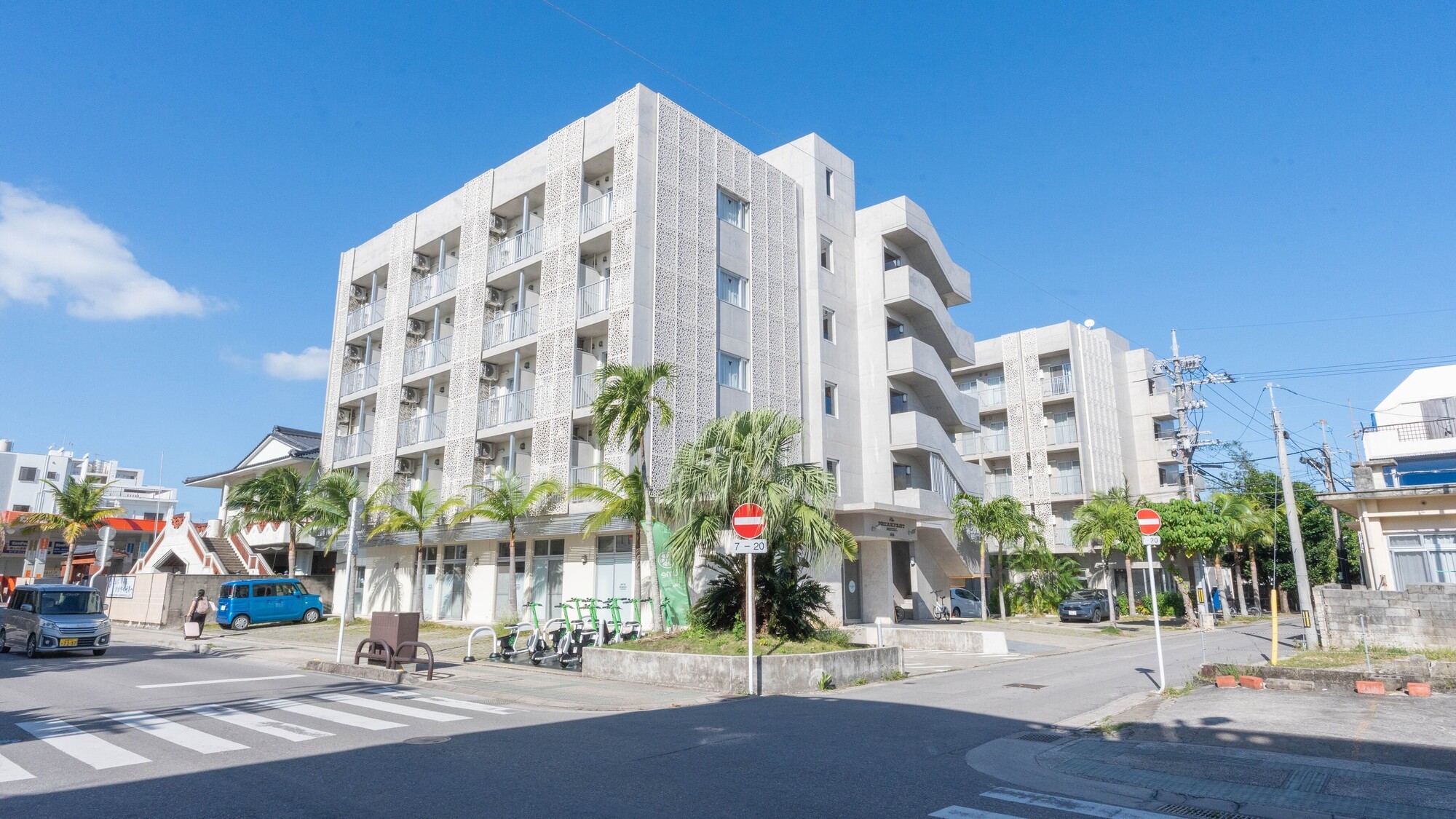 南国のヤシの木が織りなす風景