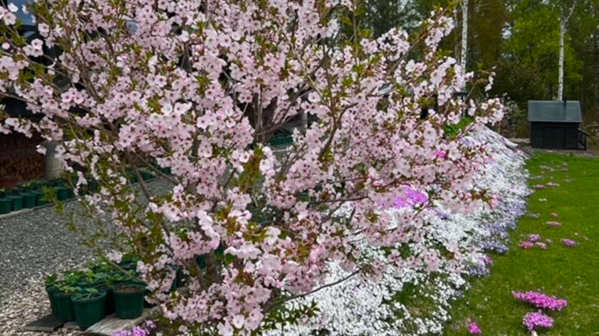 ・四季折々のお花と共にお待ちしております！