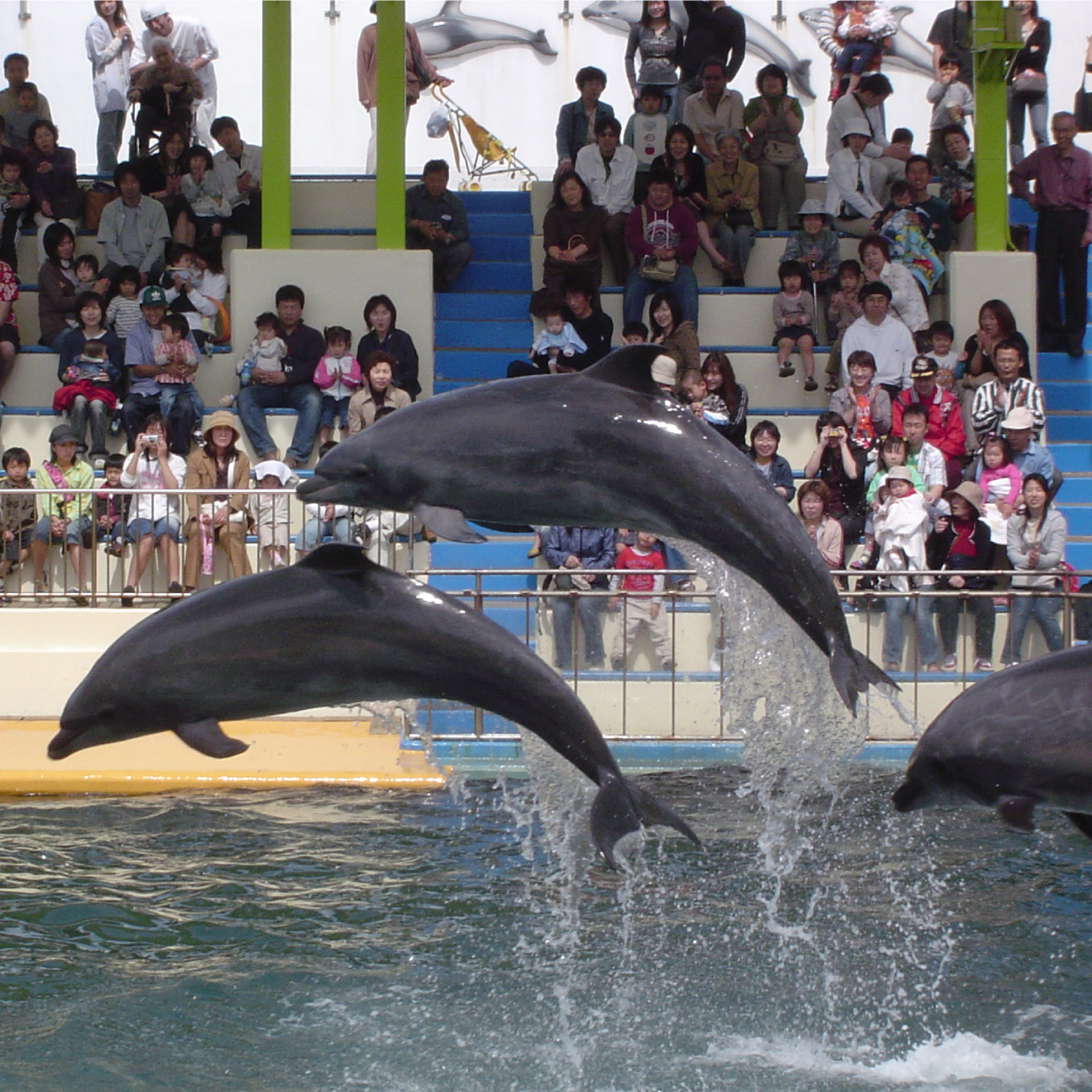 松島水族館