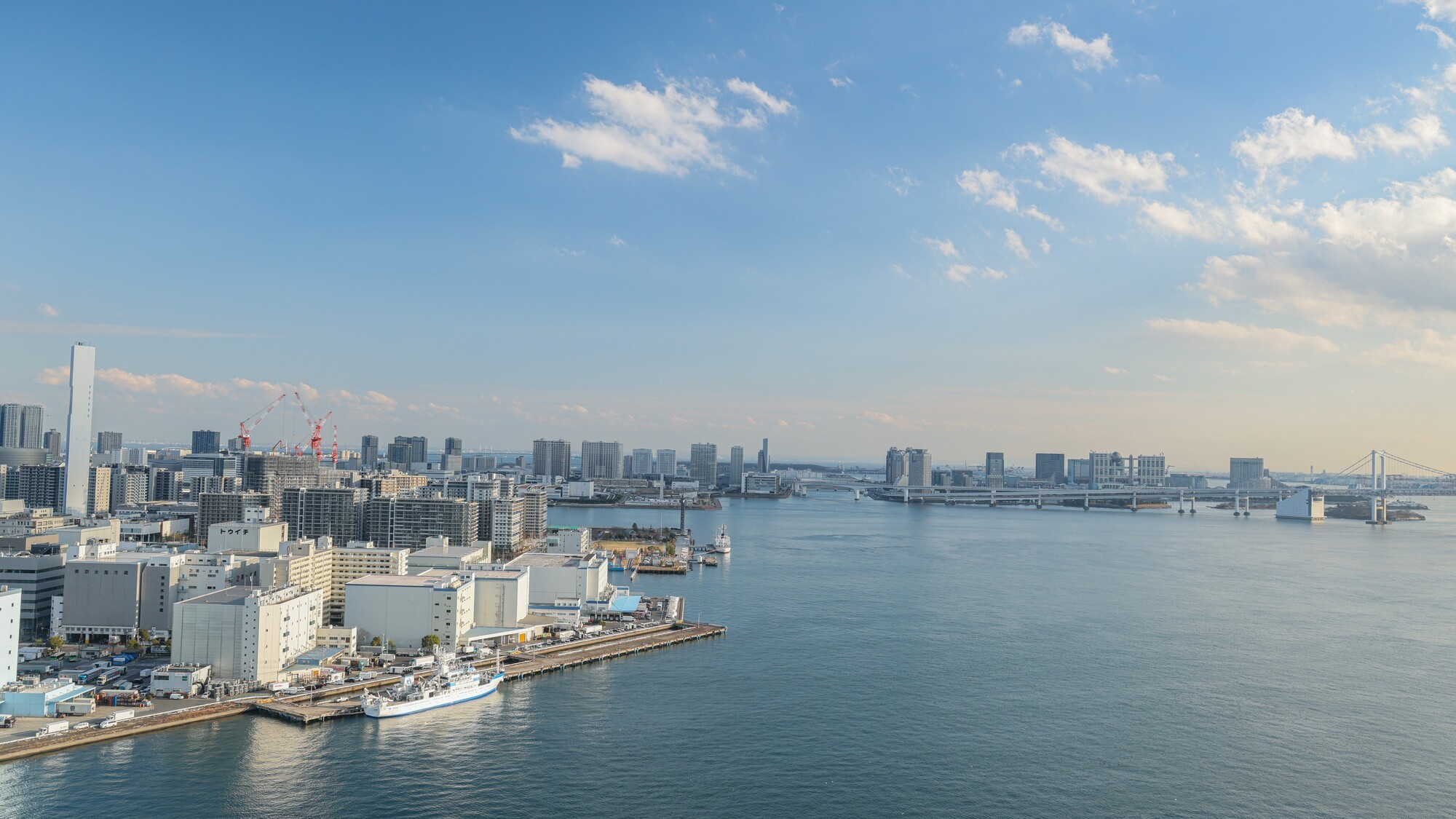 東京湾とレインボーブリッジ