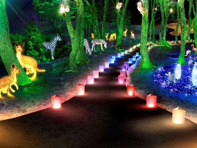 プレミアムイルミネーション　アパリュージョン2018