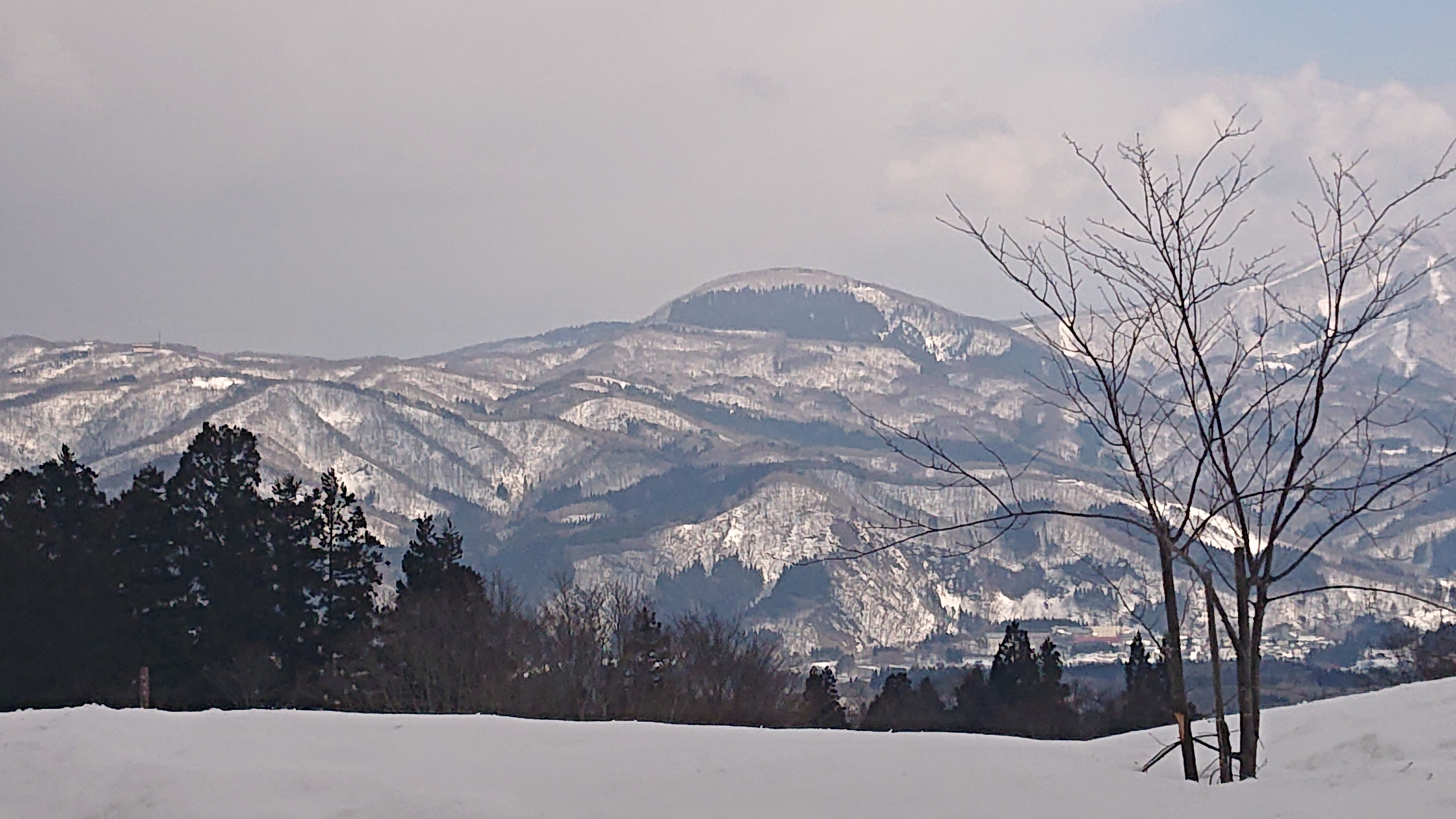美鷹からの風景