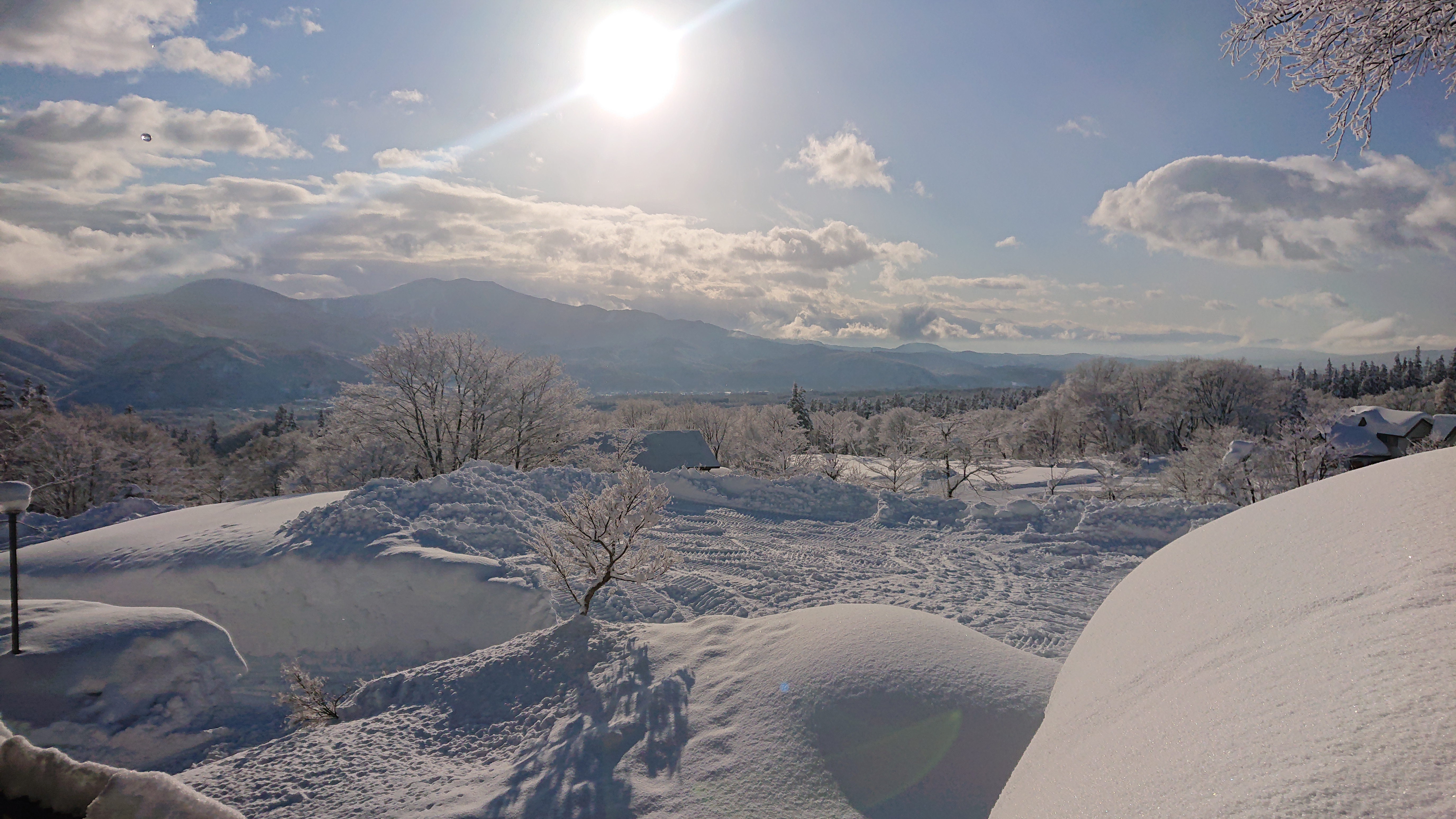 美鷹からの風景