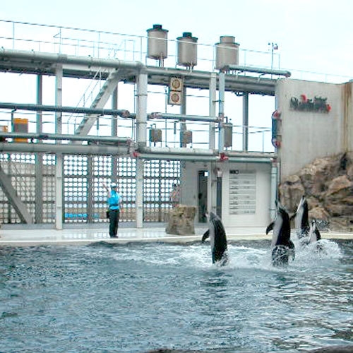 【2食付き】ここの地方ならではの郷土料理など四季折々の旬のお料理をご提供