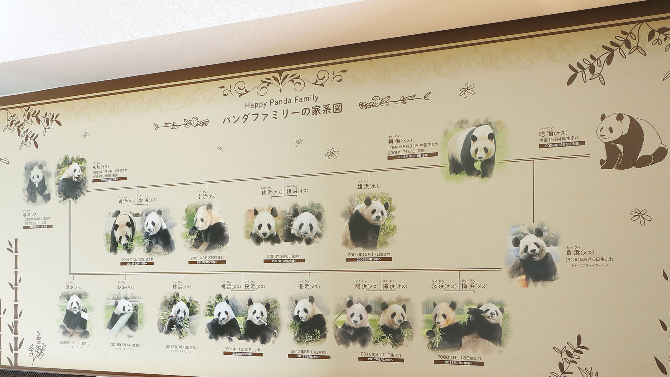 Panda Love Trip 家系図ポスターイメージ